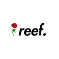 island reef
