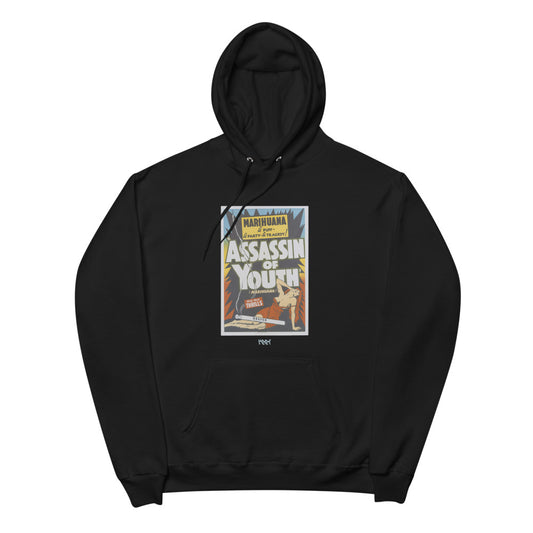 assassin of youth