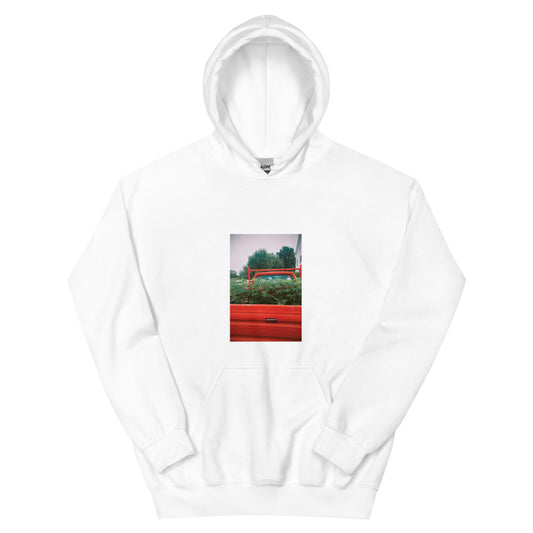 flower bed